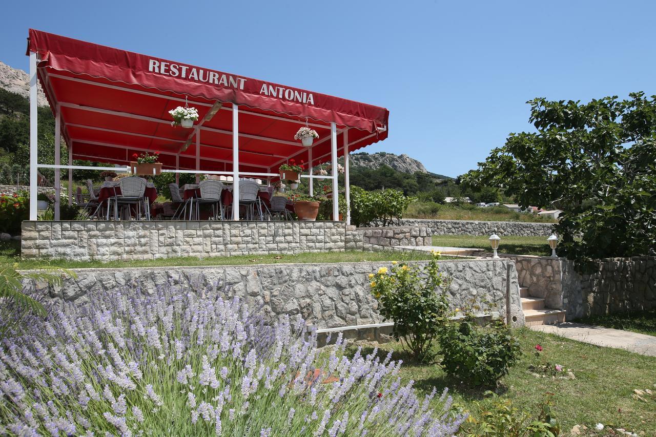 Pension Antonia Jurandvor Dış mekan fotoğraf